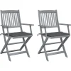 MAISON EXCLUSIVE - Chaises pliables d'extérieur lot de 2 et coussins bois d'acacia