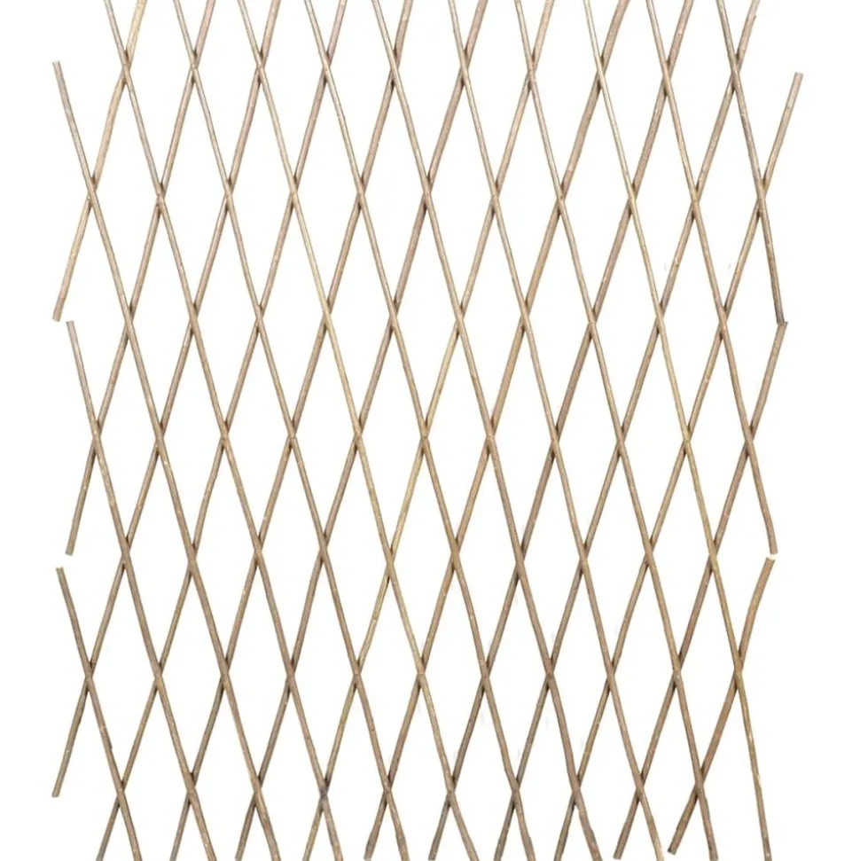 MAISON EXCLUSIVE - Clôture en treillis de saule 5 pcs 180x90 cm