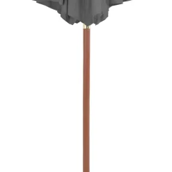 MAISON EXCLUSIVE - Parasol d'extérieur avec mât en bois 300 cm anthracite