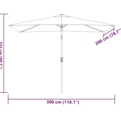 MAISON EXCLUSIVE - Parasol d'extérieur avec mât en métal 300x200 cm noir