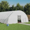 MAISON EXCLUSIVE - Serre avec cadre en acier blanc 120 m² 20x6x2,85 m