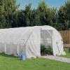 MAISON EXCLUSIVE - Serre avec cadre en acier blanc 48 m² 16x3x2 m