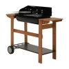 NEKA - Barbecue charon "azur pro" en bois