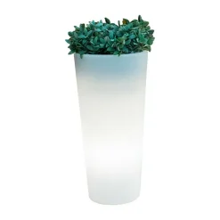 NEW GARDEN - Pot lumineux solaire ficus 80 smarttech, recharge solaire ou usb, avec telecommande
