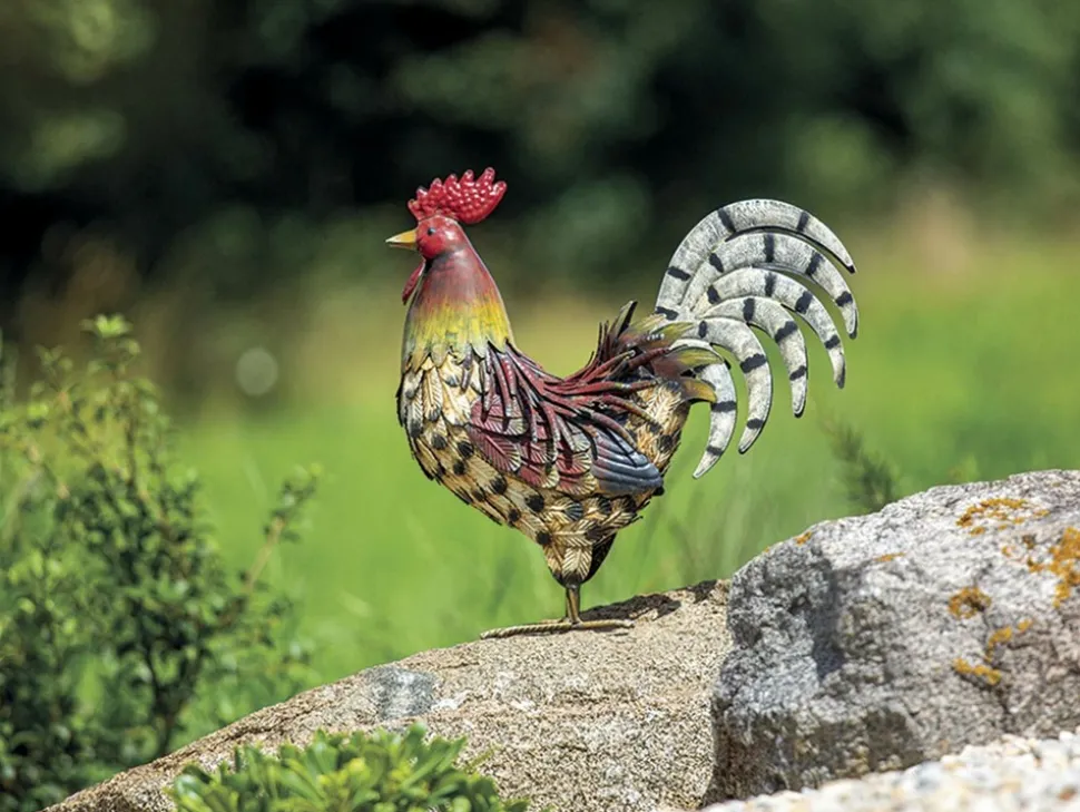NORTENE - Coq décoratif stylisé en acier pour jardin