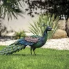 NORTENE - Paon décoratif stylisé en acier pour jardin