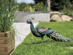 NORTENE - Paon décoratif stylisé en acier pour jardin