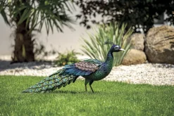 NORTENE - Paon décoratif stylisé en acier pour jardin