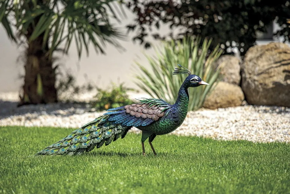 NORTENE - Paon décoratif stylisé en acier pour jardin