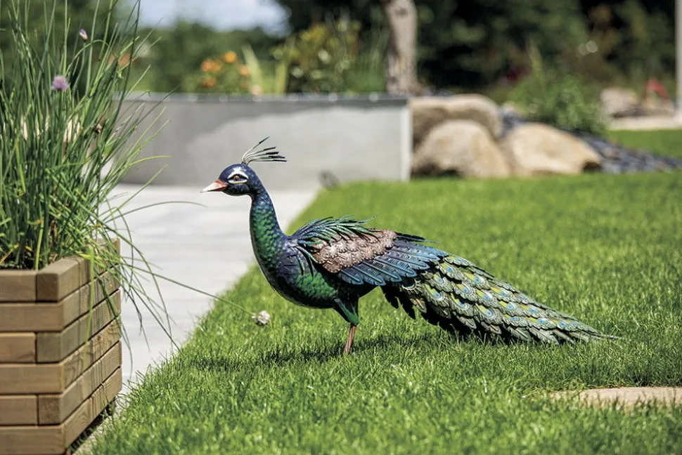 NORTENE - Paon décoratif stylisé en acier pour jardin