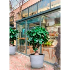 NOVAVITA - Pot de fleurs rond en plastique recyclé - gris beton 40 cm