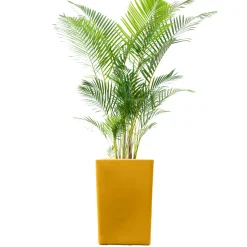PLAST&AMP;AMP;#039;UP ROTOMOULAGE - Pot de fleur carré suerte 120l