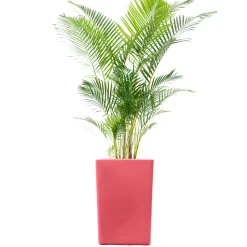 PLAST&AMP;AMP;#039;UP ROTOMOULAGE - Pot de fleur carré suerte 120l