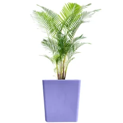 PLAST&AMP;AMP;#039;UP ROTOMOULAGE - Pot de fleurs cubio h 50cm