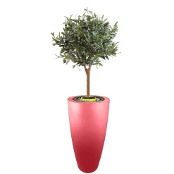 PLAST&AMP;AMP;#039;UP ROTOMOULAGE - Pot de fleurs conique delight 200l