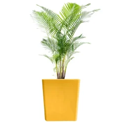 PLAST&AMP;AMP;#039;UP ROTOMOULAGE - Pot de fleurs cubio h 50cm