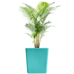 PLAST&AMP;AMP;#039;UP ROTOMOULAGE - Pot de fleurs cubio h 50cm