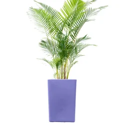 PLAST&AMP;AMP;#039;UP ROTOMOULAGE - Pot de fleur carré suerte 120l