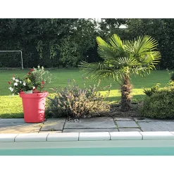 PLAST&AMP;AMP;#039;UP ROTOMOULAGE - Pot de fleurs rond xxl delight 75l