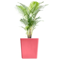 PLAST&AMP;AMP;#039;UP ROTOMOULAGE - Pot de fleurs cubio h 50cm