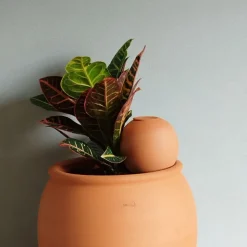 POTERIE LUTTON - Olla à planter, réserve d'eau pour irrigation - 1L