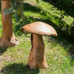 Set champignons en teck deco jardin