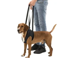 TRIXIE - Aide à la marche pour chien • taille l / xl : 75-85 cm