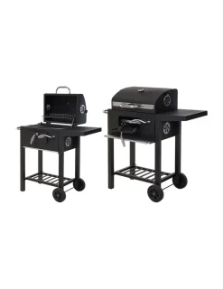 VAGGAN - Barbecue de charbon avec couvercle 48,5x36x96cm