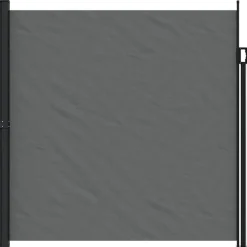 VIDAXL - Auvent latéral rétractable anthracite 200x300 cm