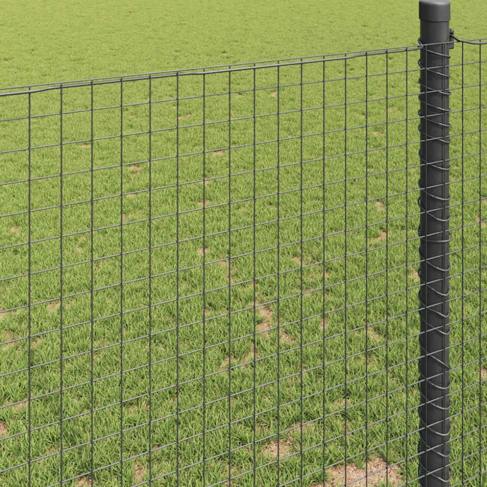 VIDAXL - Clôture en fil soudé vert 1 x 50 m acier