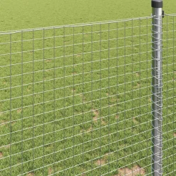 VIDAXL - Clôture en fil soudé argent 0.6 x 10 m acier