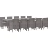 VIDAXL - Ensemble de salle à manger pour jardin 11 pcs gris clair