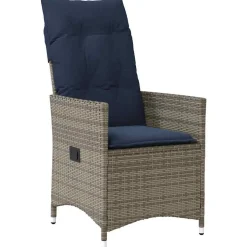 VIDAXL - Ensemble de salle à manger pour jardin 5 pcs gris polyrotin