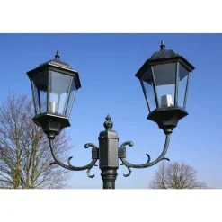 VIDAXL - Lampadaire de jardin 2 bras 230 cm vert foncé/noir aluminium