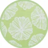 VIDAXL - Tapis d'extérieur arakil vert ø160 cm pp